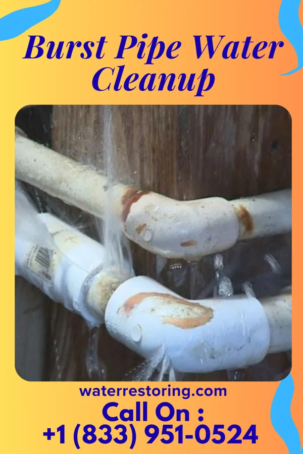 Burst Pipe Water Cleanup in Cearfoss, MD