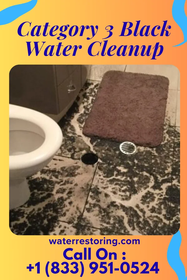 Category 3 Black Water Cleanup in Cearfoss, MD