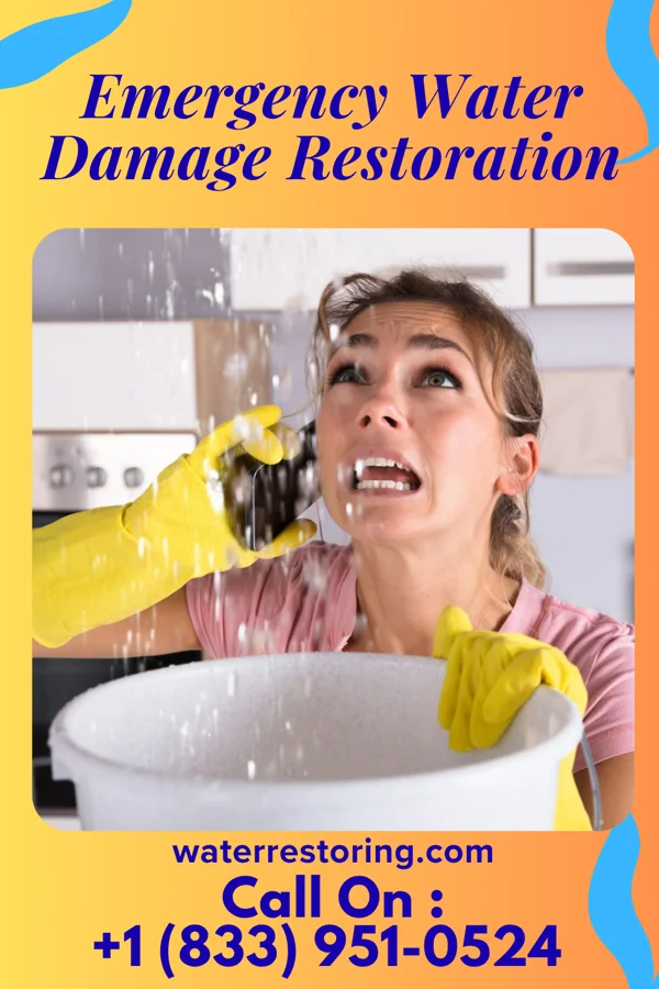Emergency Water Damage Restoration in Cearfoss, MD