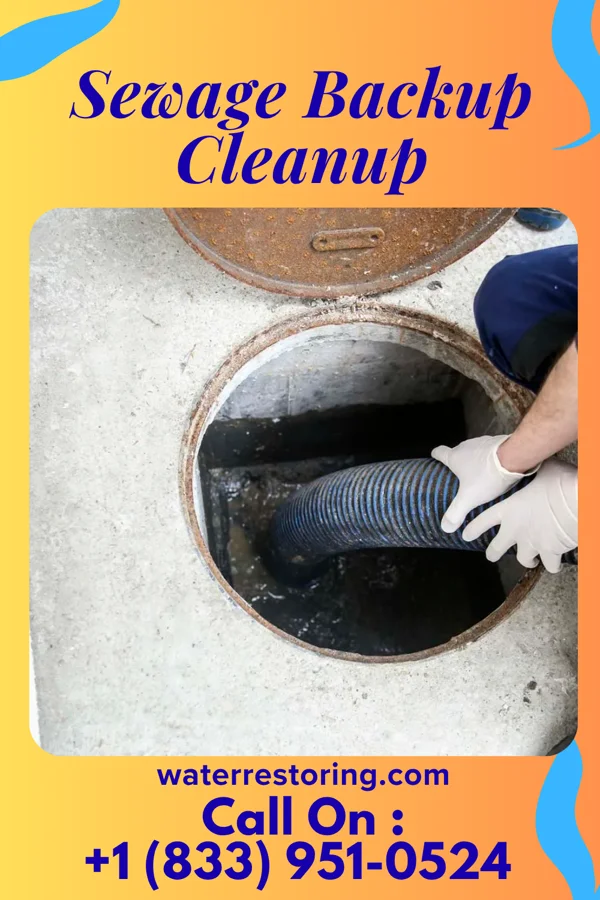 Sewage Backup Cleanup in Cearfoss, MD