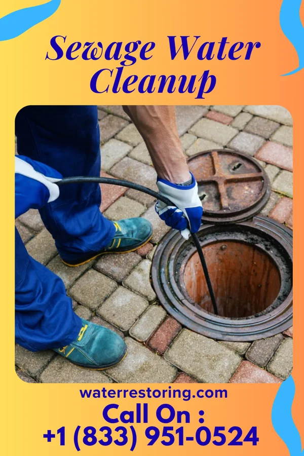 Sewage Water Cleanup in Cearfoss, MD