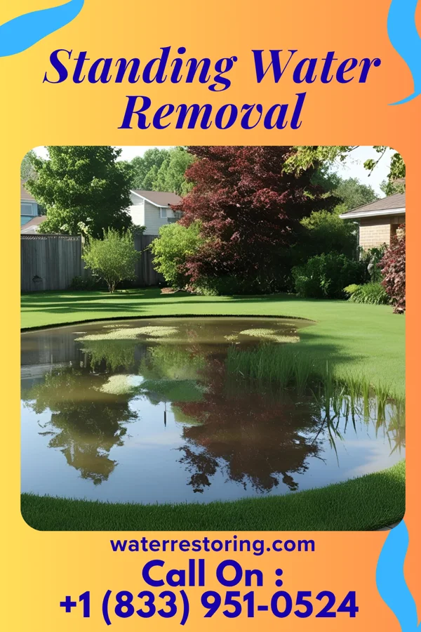 Standing Water Removal in Cearfoss, MD